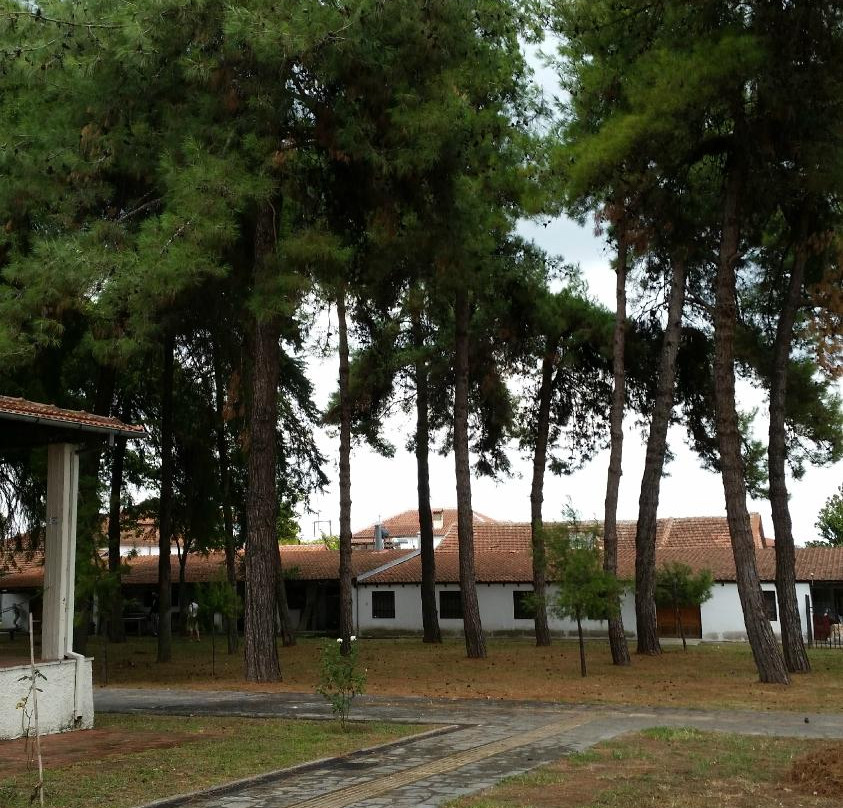 Archaeological Museum of Dion-Dion必去景点