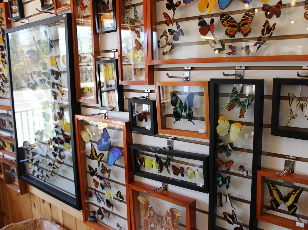 Beaver Bay Agate Shop-Beaver Bay必去景点