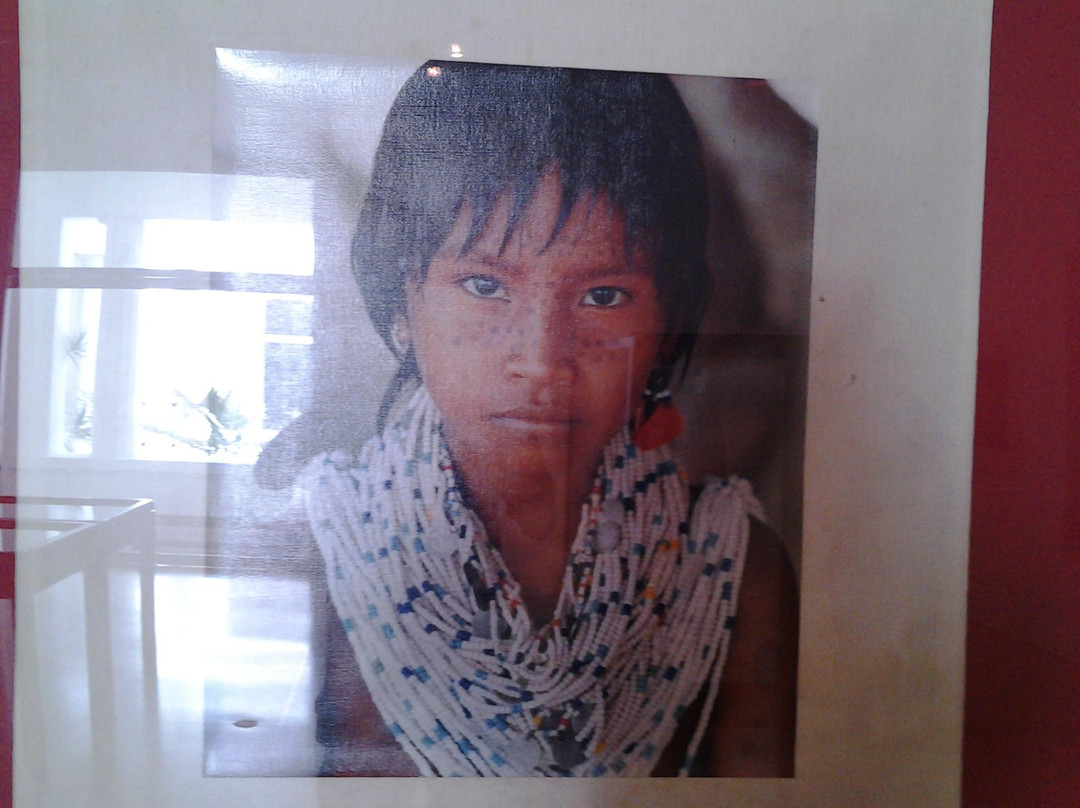 Museo de Ciencias Naturales-加拉加斯必去景点