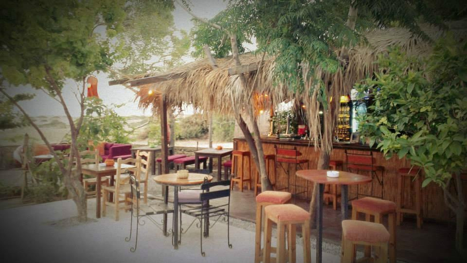 Roots Bar景点图片