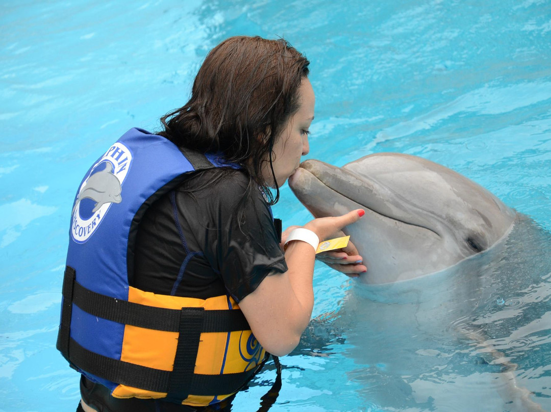 Dolphin Discovery-墨西哥城必去景点