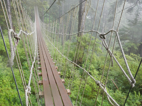 Bear Creek ziplines-凯奇坎必去景点