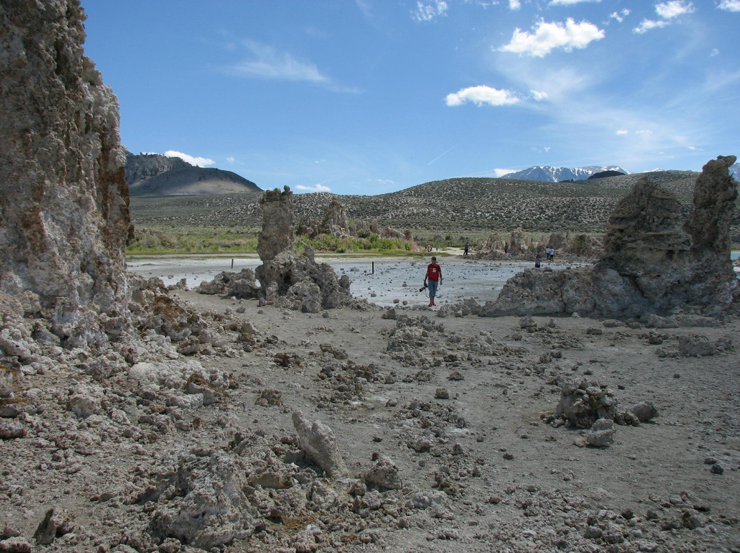 Mono Lake Committee Information Center-利韦宁必去景点