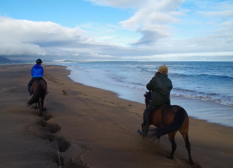 Stori Kambur Horse Rental-Snaefellsbaer必去景点