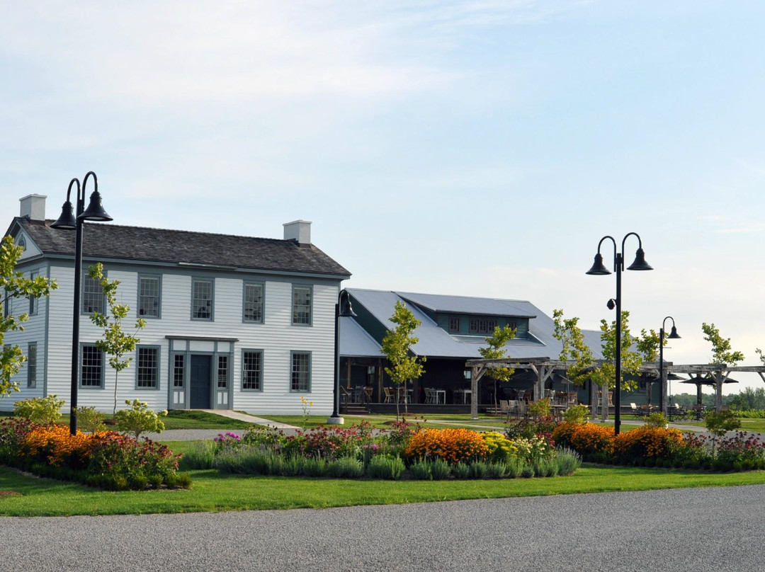 Ravine Vineyard Estate Winery-滨湖尼亚加拉必去景点