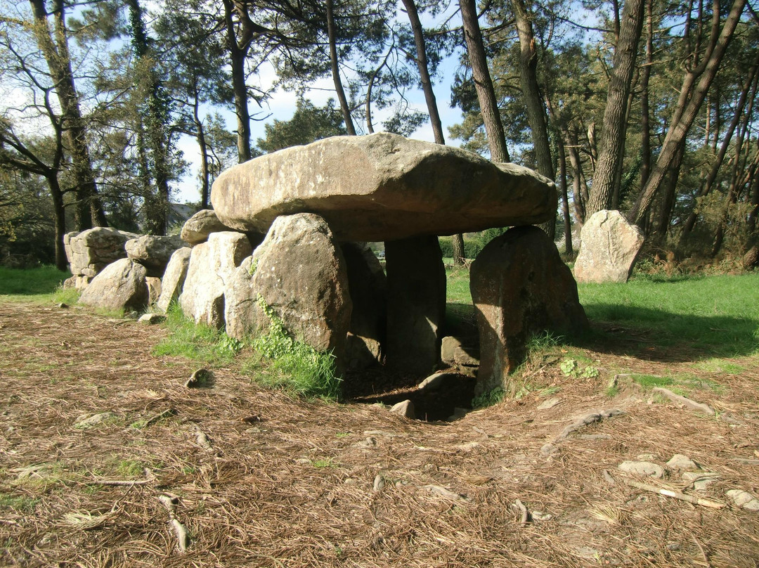 Dolmens de Mané Kerioned景点图片