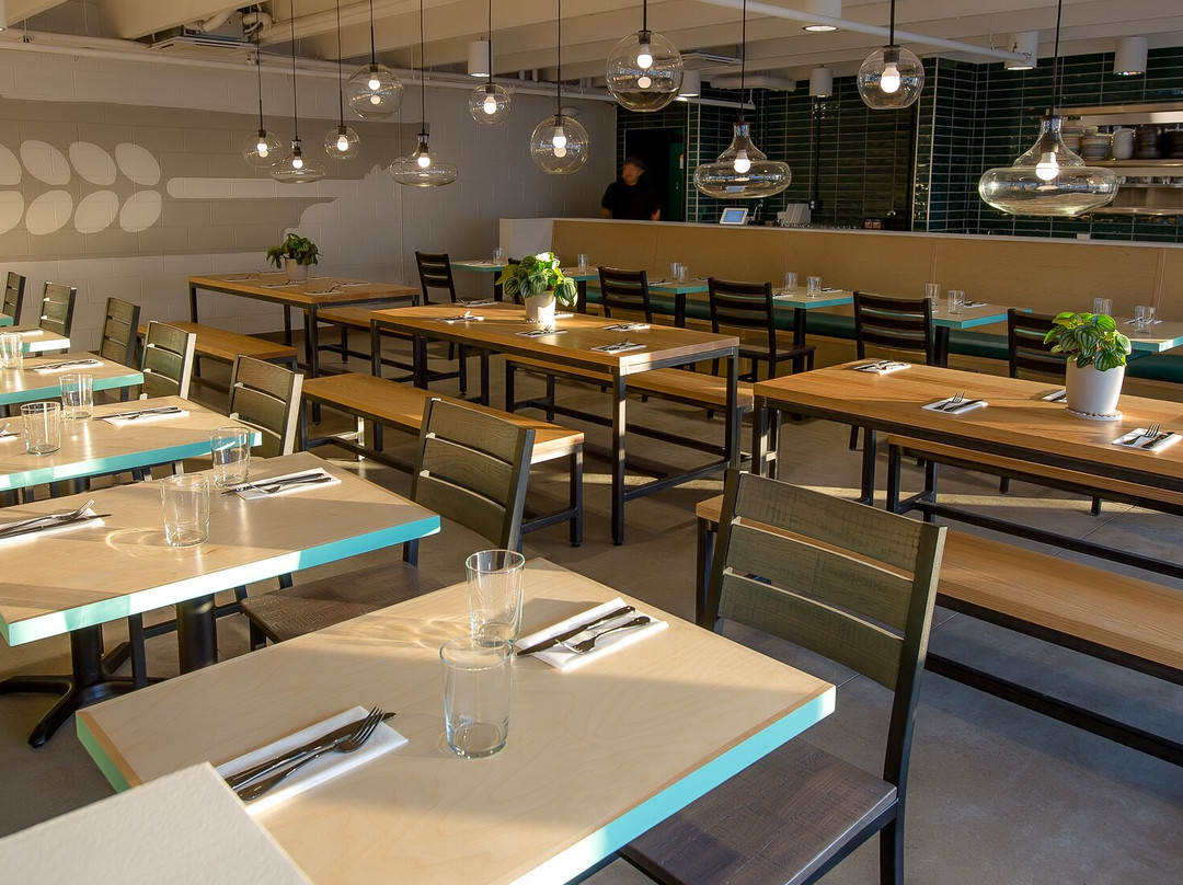 Lauter - Southern Grist Brewing Co