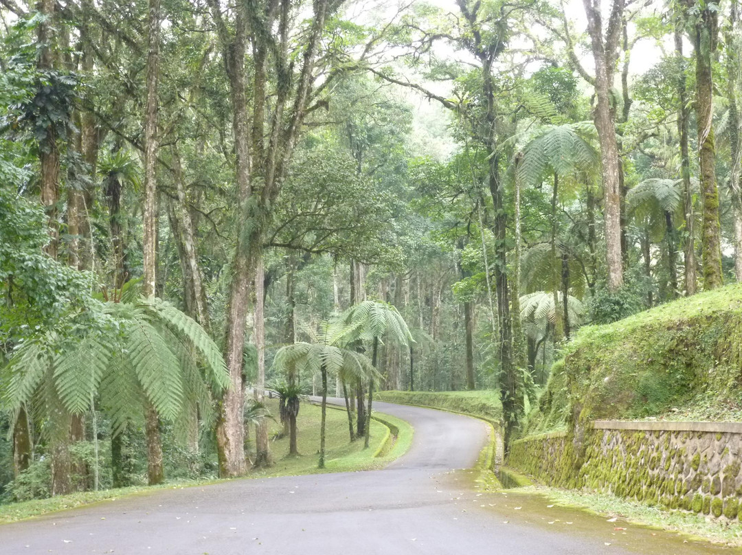 Bali Botanic Garden-达巴南必去景点