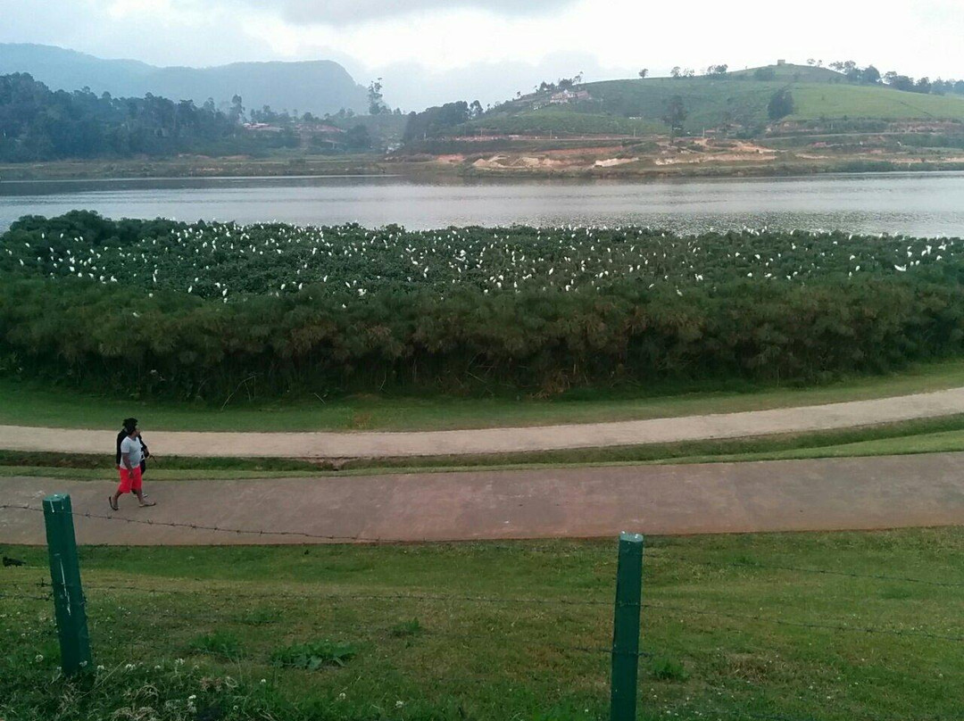 格雷戈里湖-奴娃拉伊利雅必去景点