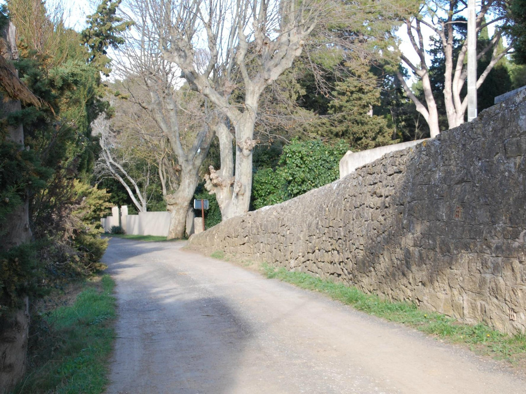 Domaine Saint Hilaire景点图片