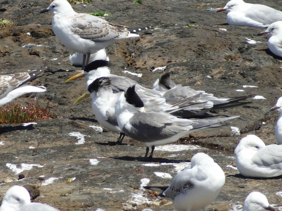 Coastal Trails-贝赛德必去景点