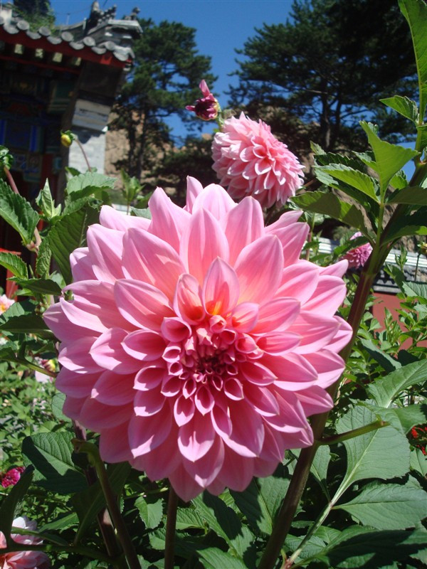 庙宫水库-围场县必去景点