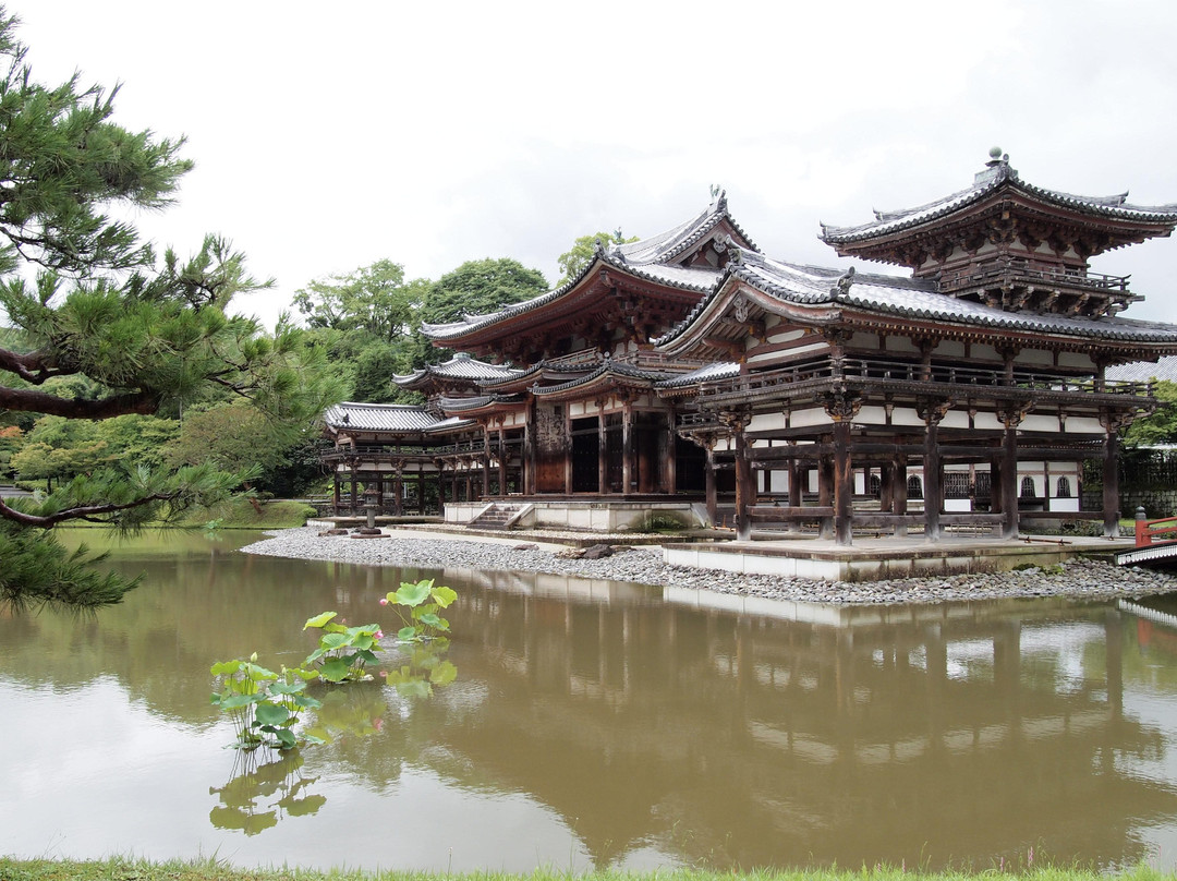 平等院-宇治市必去景点