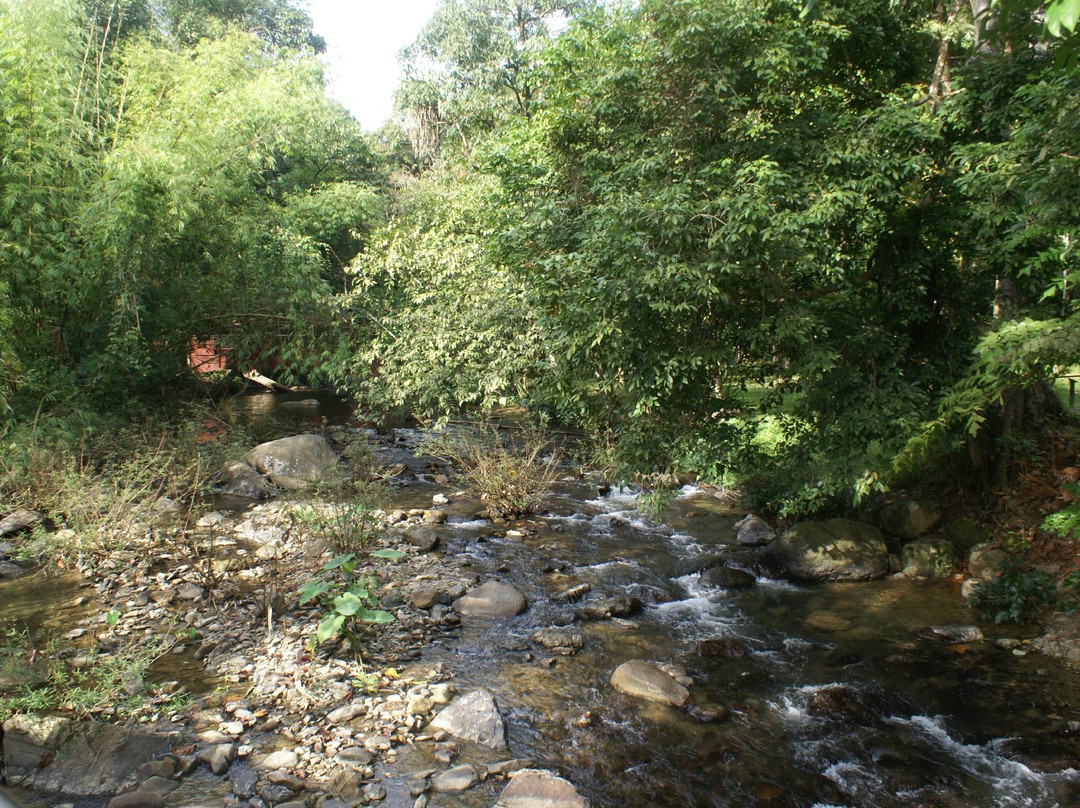 考索国家公园-素叻他尼必去景点