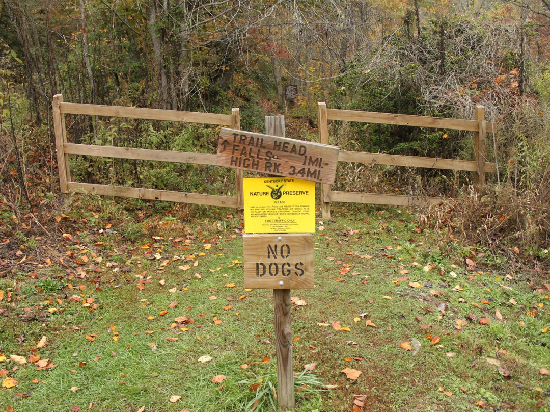 Bad Branch State Nature Preserve-Whitesburg必去景点