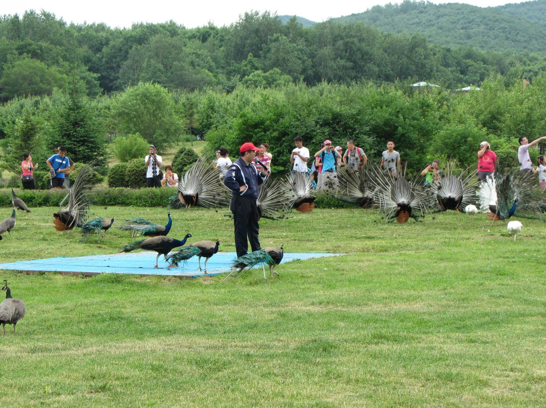 北方森林动物园-哈尔滨市必去景点