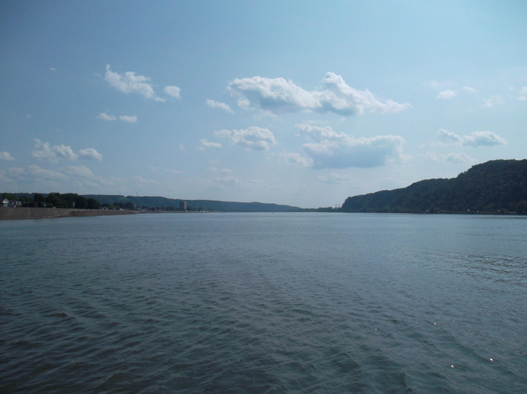 Shikellamy State Park景点图片