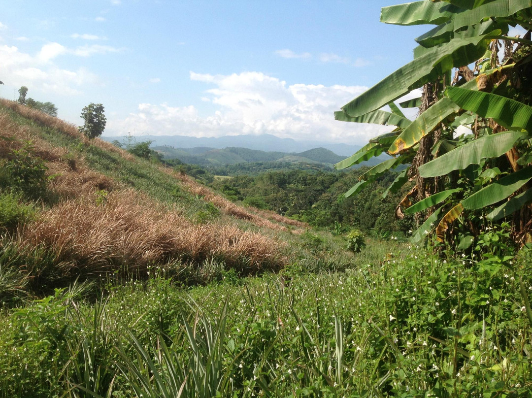 Chiang Rai Bicycle Tour-清莱必去景点