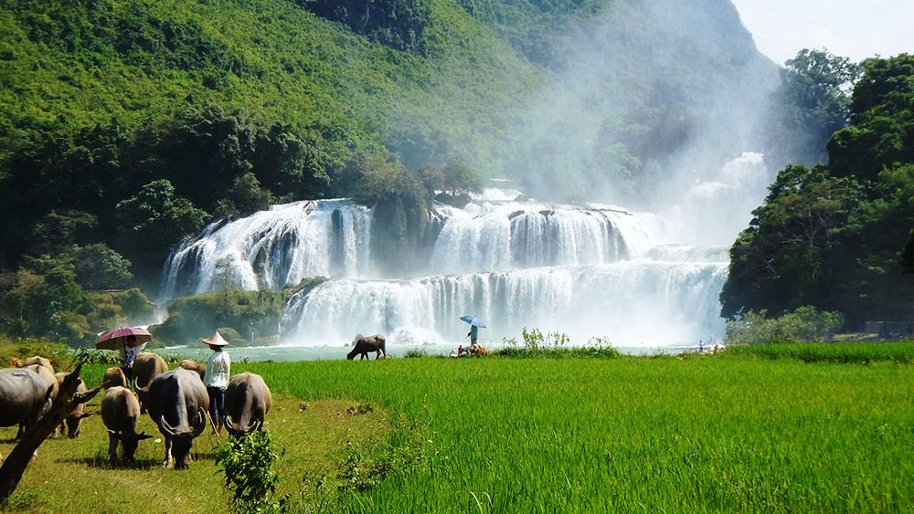 Ban Gioc Waterfall - Detian Falls景点图片