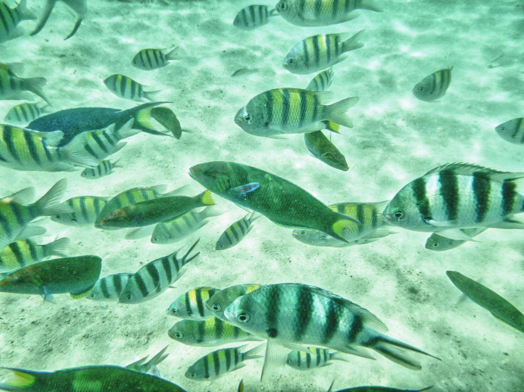 Banana Island-科隆必去景点