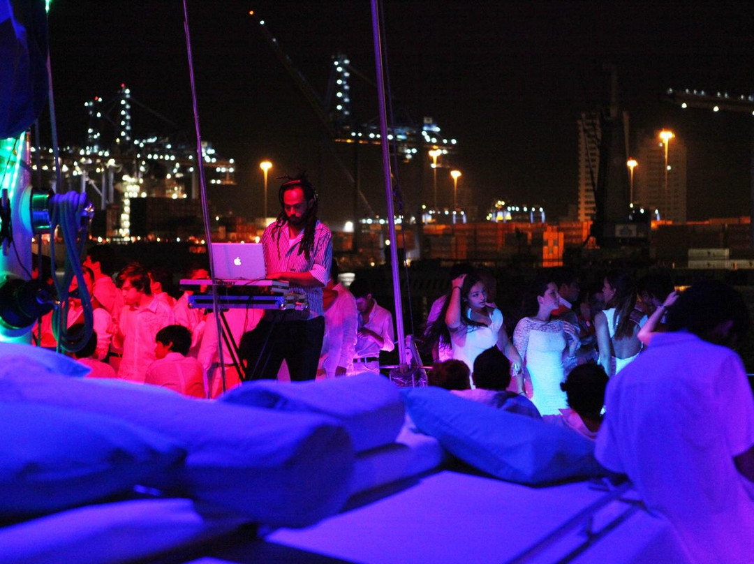 Catamaran Maxicat景点图片