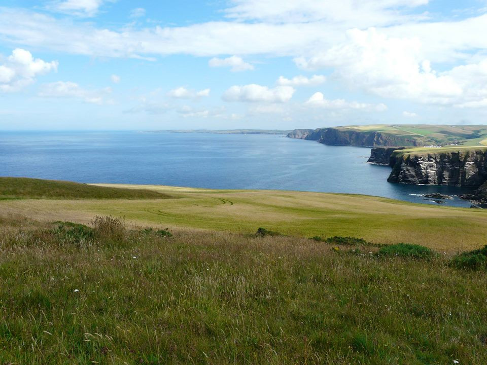 RSPB Troup Head Nature Reserve-Macduff必去景点