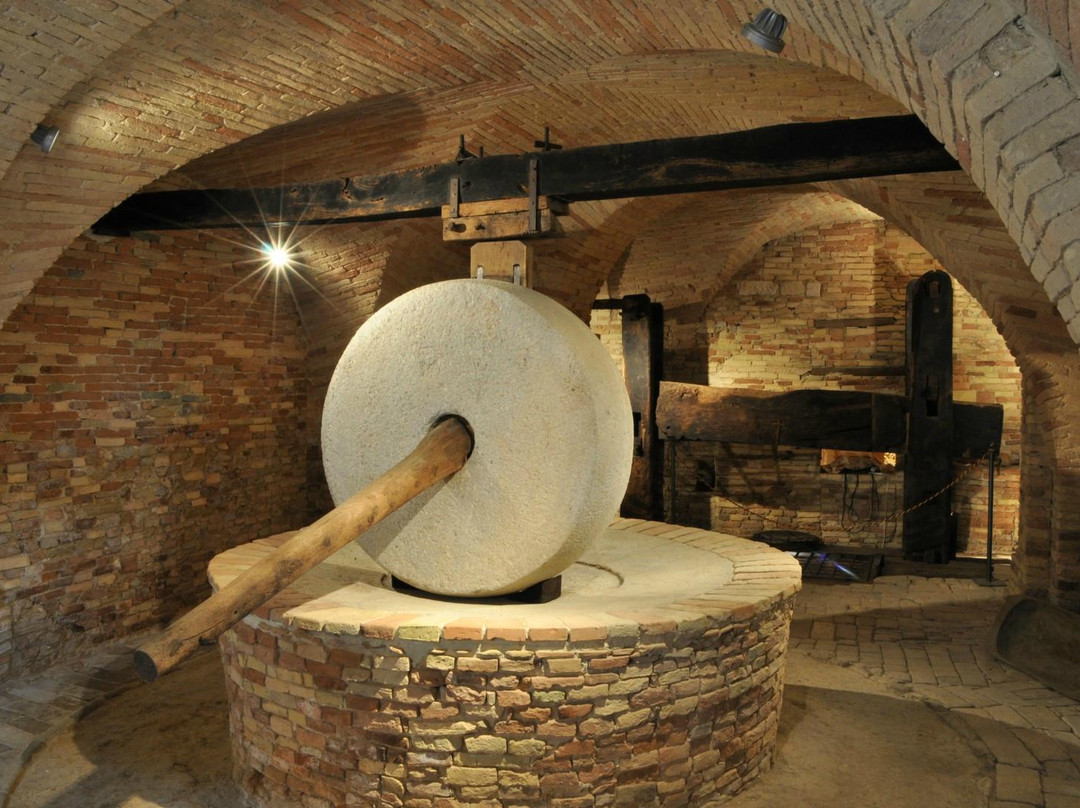 Museo dell’Olio di Cantinarte景点图片