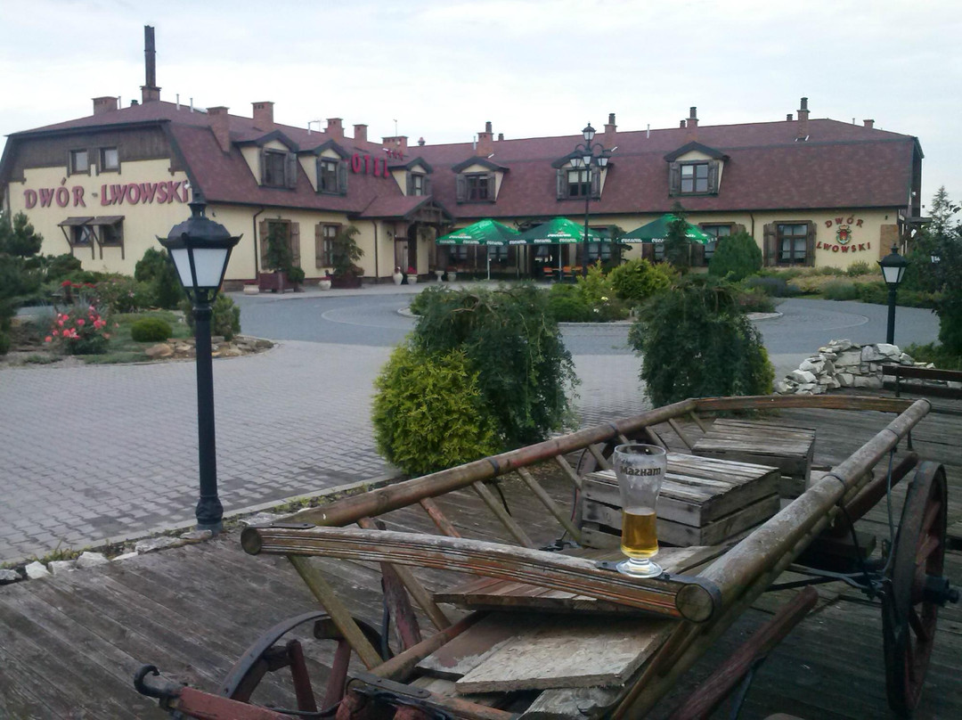 Olempin酒店住宿-Dwor Bogucin Hotel & Restaurant