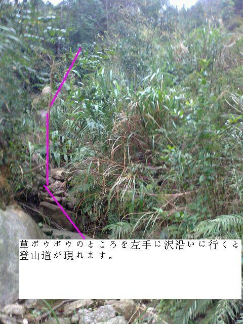 韶关云髻山-新丰县必去景点