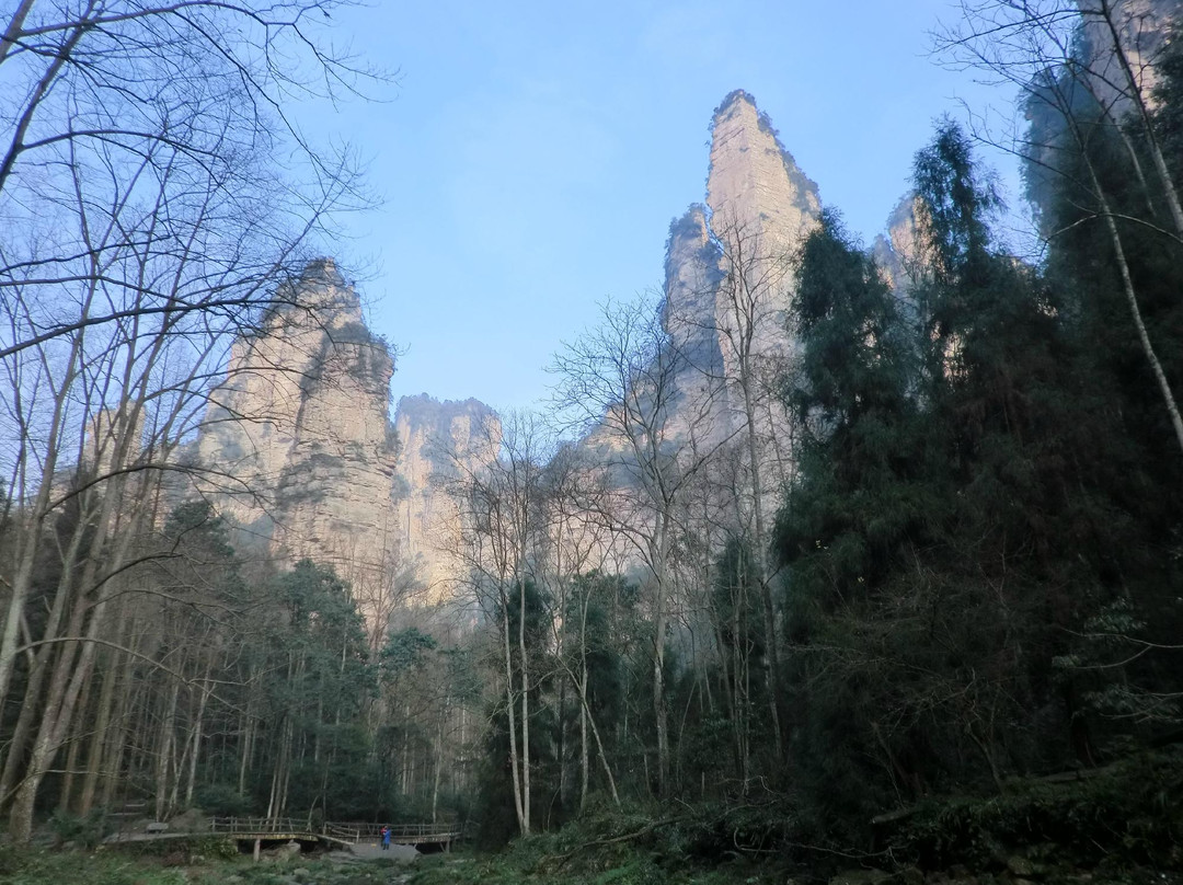 张家界大峡谷景点图片