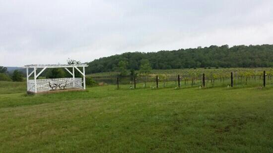 Wakefield Country Inn & Vineyards-客卧
