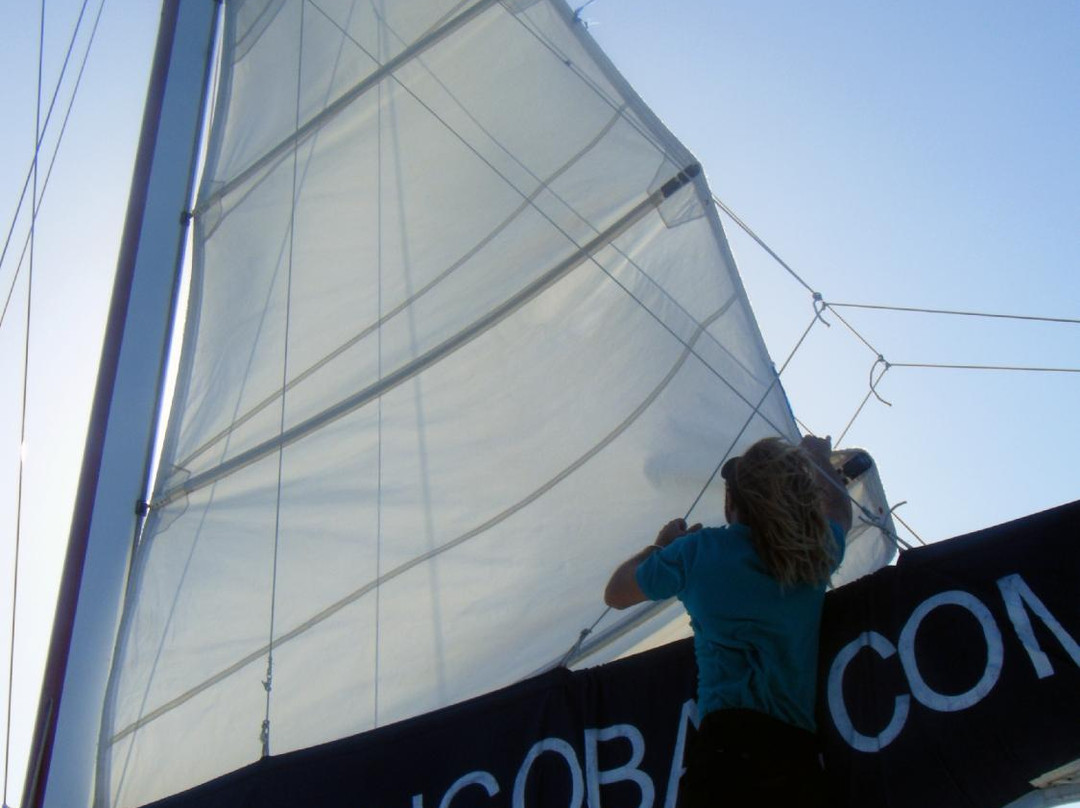 Heavenly Days Catamaran-夏洛特阿马利亚必去景点