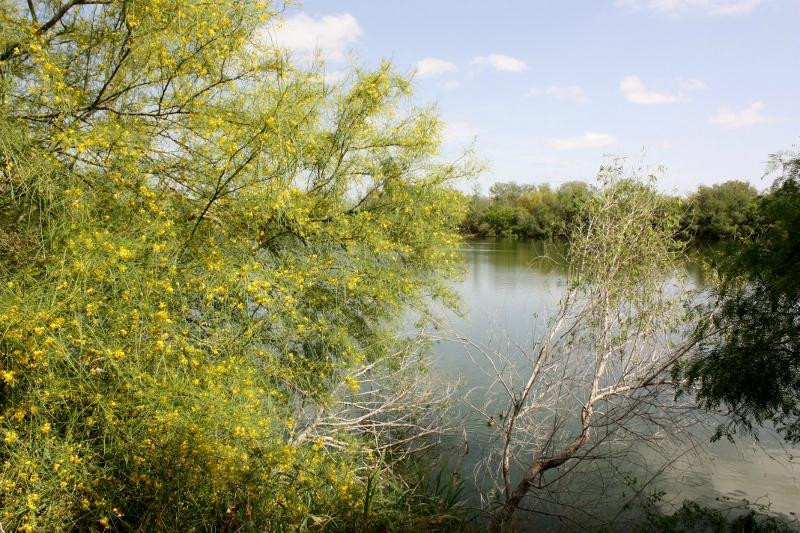 Edinburg Scenic Wetlands景点图片