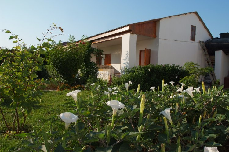 Kazantip Leopolis Hotel主图