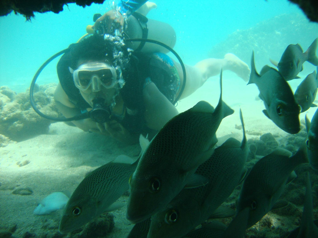 Pontal do Maragogi-Maragogi必去景点