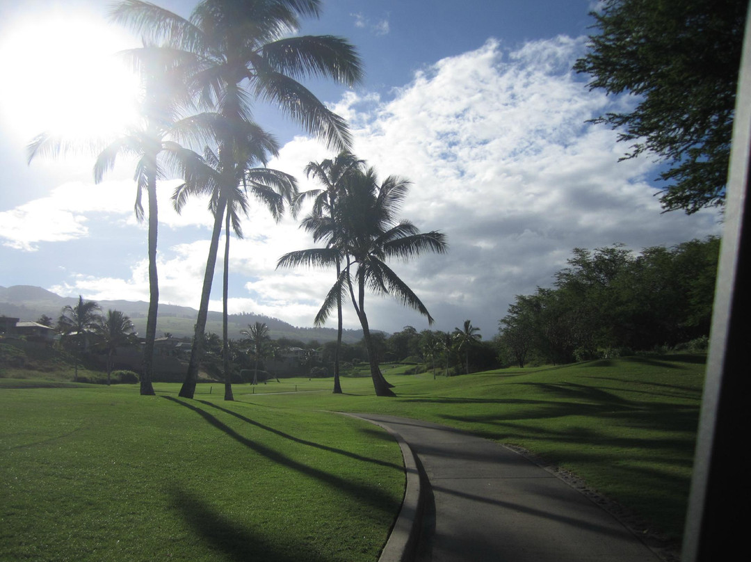 Wailea Old Blue Course-维雷亚必去景点