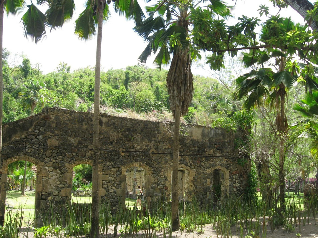 Zoo de Martinique-Le Carbet必去景点