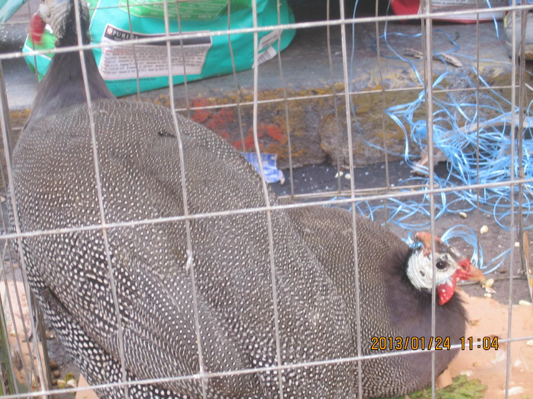 Plaza de la Torreon-Tecozautla必去景点