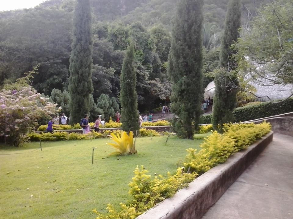 Arajara Park景点图片