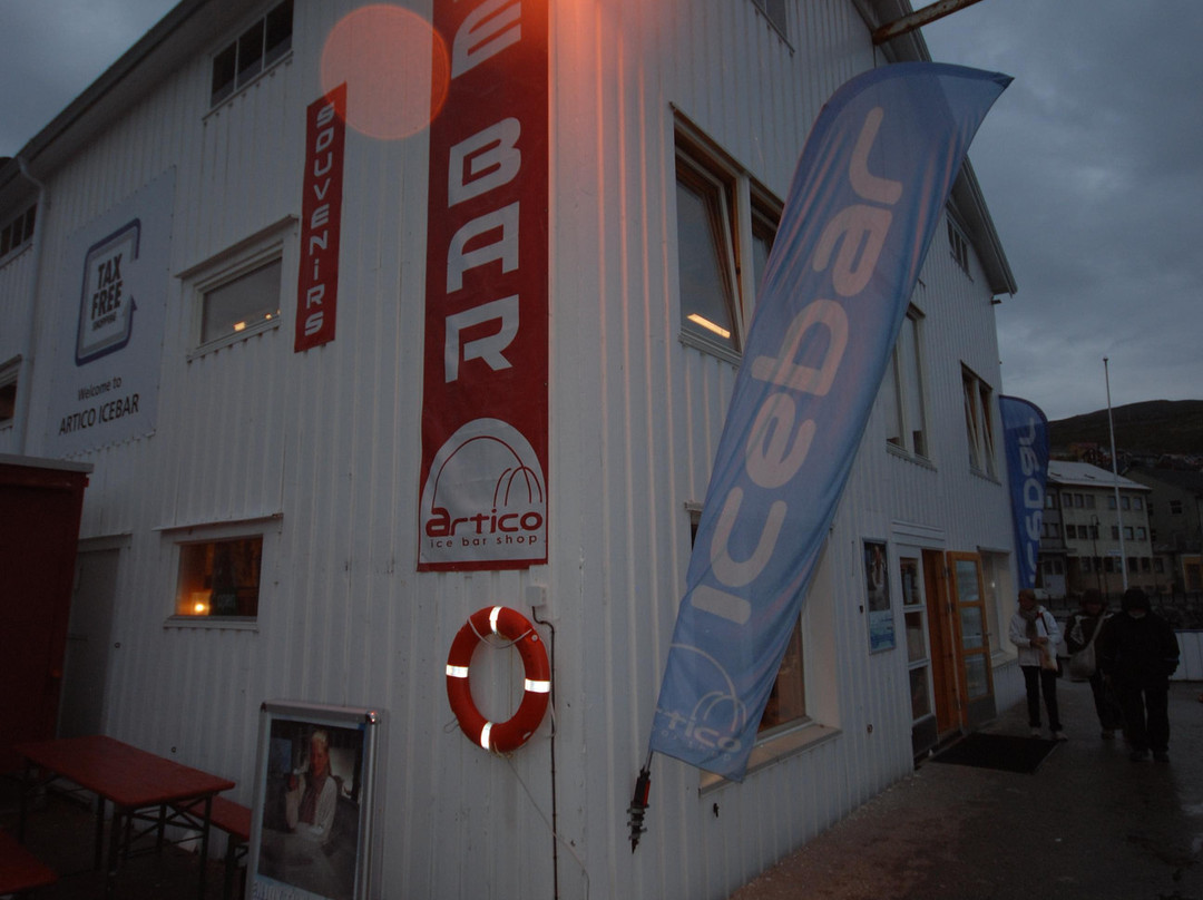 Artico Icebar-霍宁斯沃格必去景点
