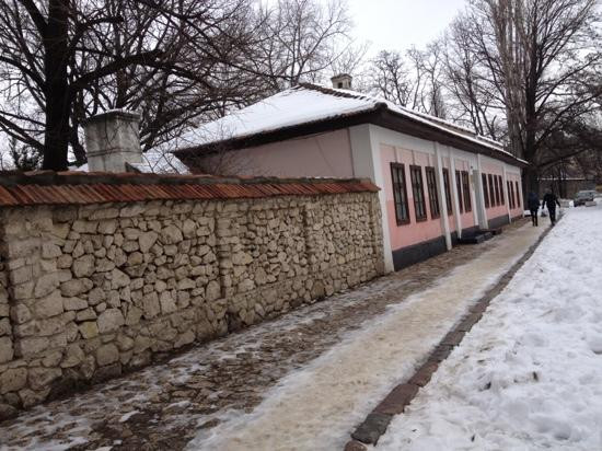 Alexander Pushkin Museum-基希讷乌必去景点