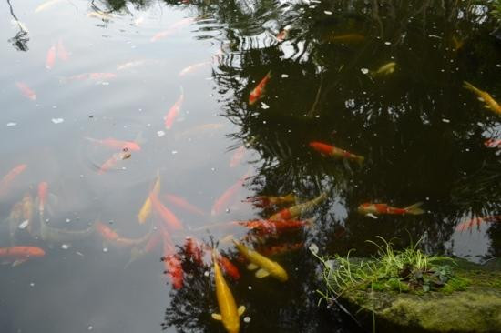 三头神像博物馆-北揽必去景点