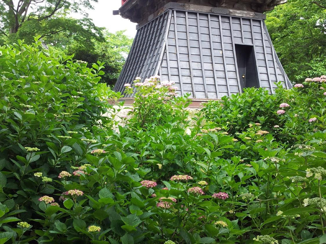 Nogoji Temple(Hydrangea Temple)-熊谷市必去景点