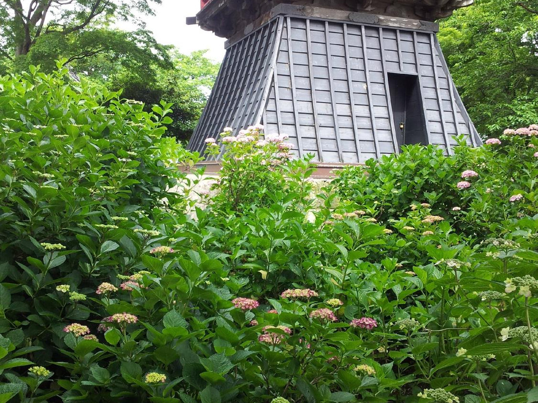 Nogoji Temple(Hydrangea Temple)景点图片