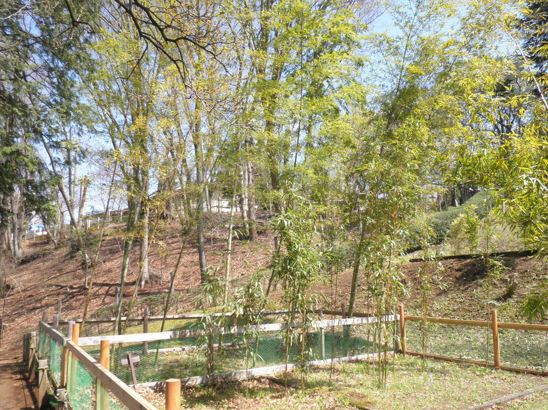 Kanagawa Prefectural Nature Conservation Center景点图片