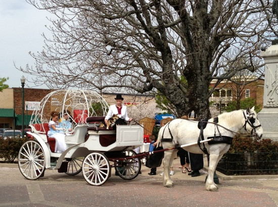 Carriage Tours of Memphis-孟菲斯必去景点