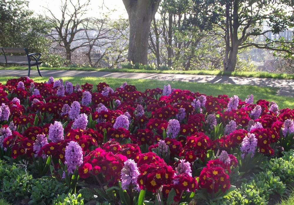 Pannett Park-惠特比必去景点