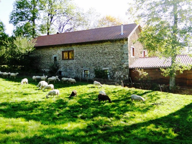 Jasserie les Airelles主图