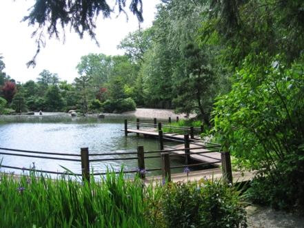 Anderson Japanese Gardens-罗克福德必去景点