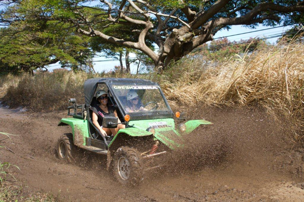 Green Zebra Adventures Maui Day Tours-怀露库必去景点